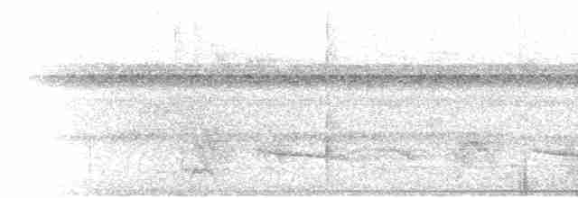 Graubrust-Ameisendrossel - ML261922581
