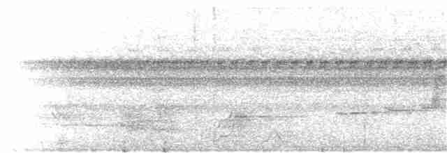 Gelbbrust-Ameisenschnäpper - ML261925341