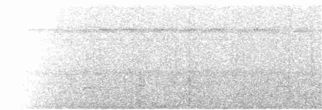 White-flanked Antwren - ML261961581