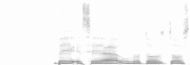 Пестрогрудый тираннчик - ML262032