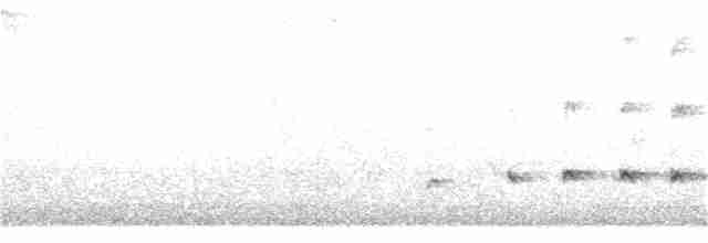 Орел-карлик малий - ML262039081
