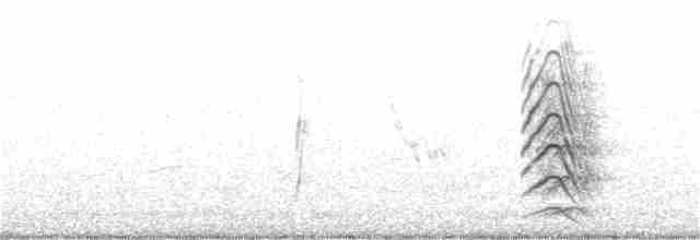 Black-tailed Godwit - ML262130091