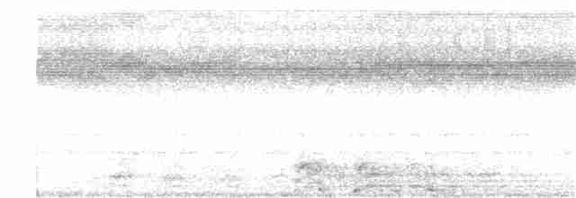 Pauraquenachtschwalbe - ML262192081