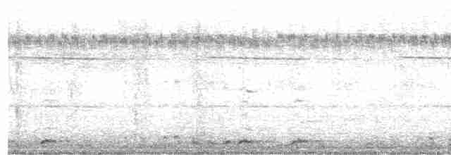 白腹秧雞 - ML262310411