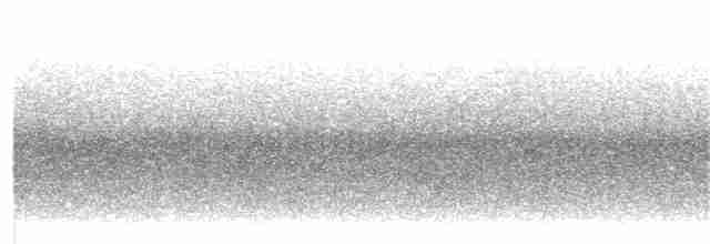 Mirlo Acuático Coroniblanco - ML262366611
