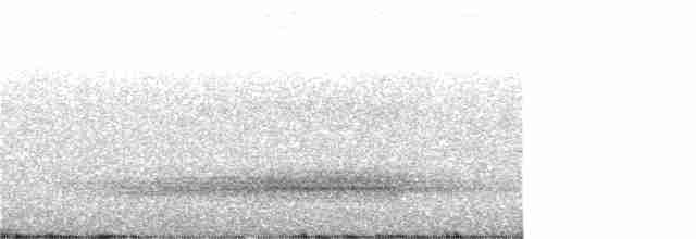 Schildparadiesvogel - ML262620151