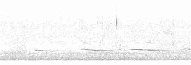 Brushland Tinamou - ML262691941
