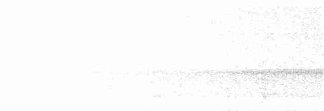 Jacamar tridactyle - ML262717511