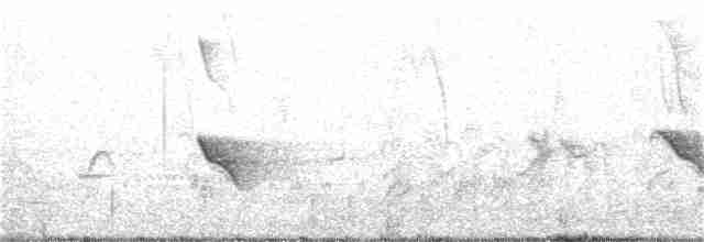 Evening Grosbeak (type 1) - ML26272721
