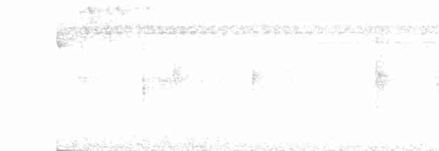 Аріан блакитноволий - ML262751331
