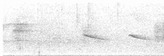 Crescent-chested Puffbird - ML262760321