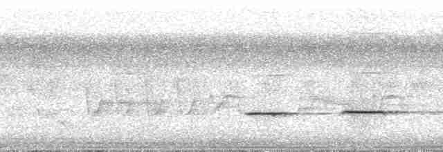 Striped Cuckoo - ML262772