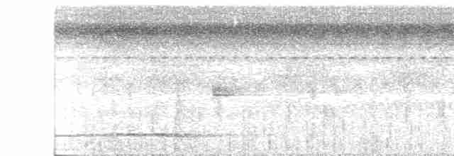 Great Tinamou - ML262778551