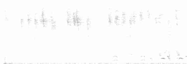 Grauscheitelsäbler - ML262853381