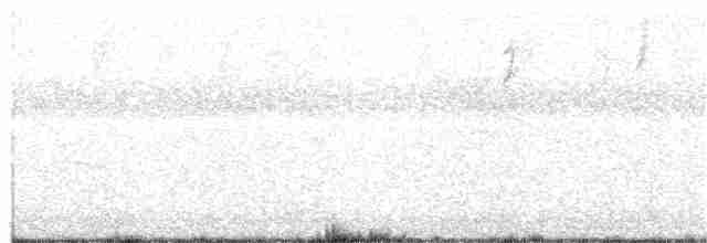 Червоїд світлобровий - ML262882411