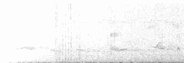 White-eared Puffbird - ML262888791