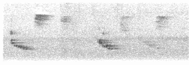Каролинский крапивник - ML262892961