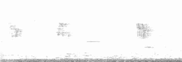 オウム目（インコ科 小さな種） - ML263134741