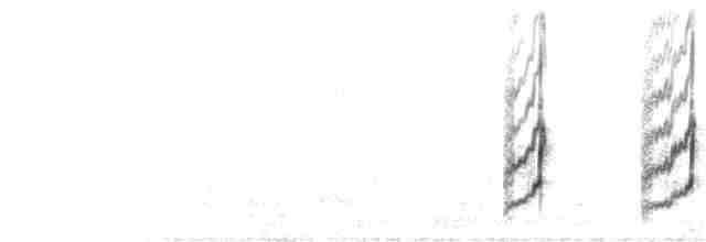 Американский бекасовидный веретенник - ML263152871