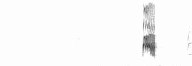 Американский бекасовидный веретенник - ML263152881