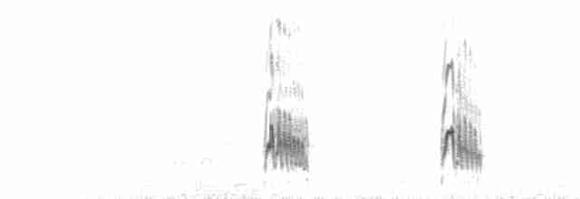 Американский бекасовидный веретенник - ML263152901