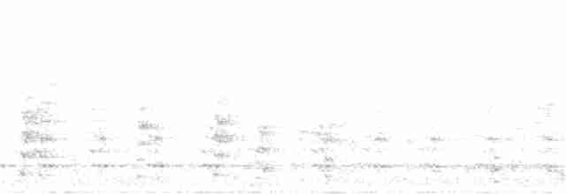 Gallinule poule-d'eau - ML263206051