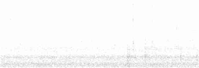 Streifenpanthervogel - ML263231331
