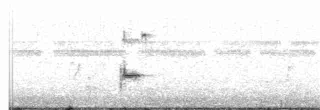 Loggerhead Shrike - ML263280111