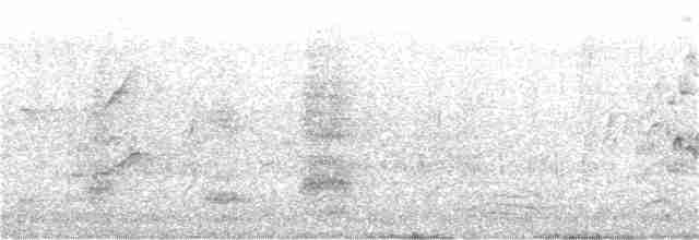 Медолюб-сережник східний - ML263625441