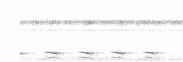 Perlschulter-Ameisenwürger - ML263693961