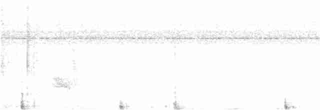 Rufous-tailed Stipplethroat - ML263748231