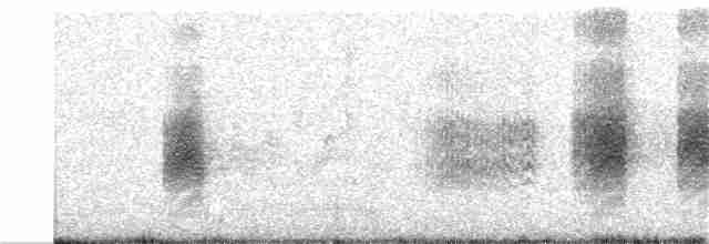 Длиннохвостый сорокопут - ML263885391