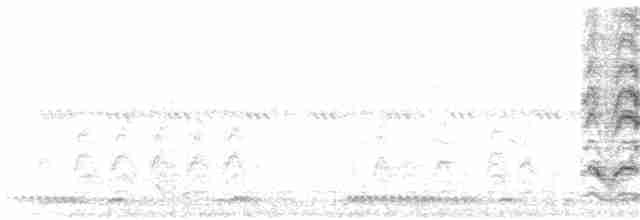 White-crowned Shrike - ML263953681