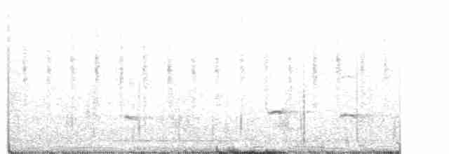 ハエトリツグミ - ML264138011