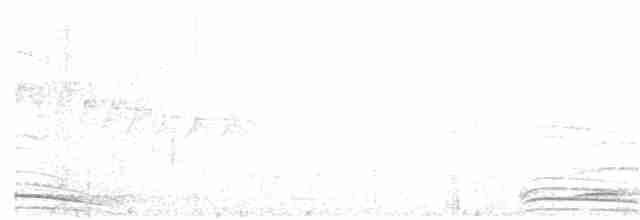 Ошейниковый лесной сокол - ML26415021