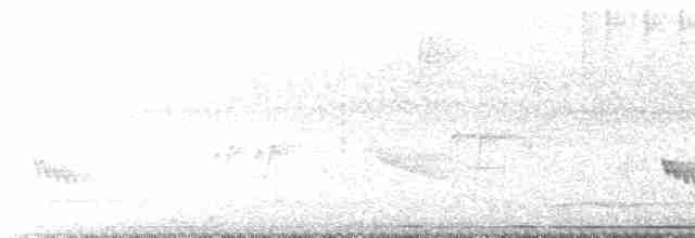 Thicket Tinamou - ML264307571