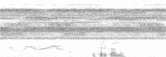 Belizenachtschwalbe - ML264334801
