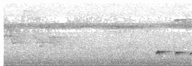 Сероголовая пиприта - ML264351871