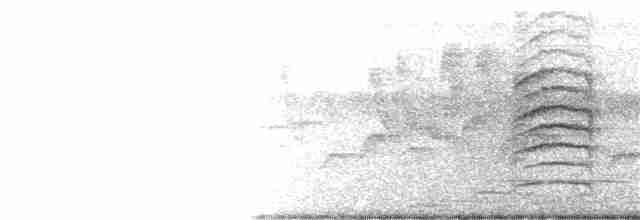 Luzonschneidervogel - ML264426501