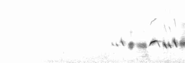 Ґоріон невадійський - ML264444221