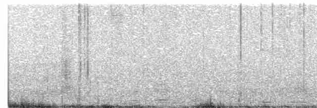Rufous Nightjar - ML264476151