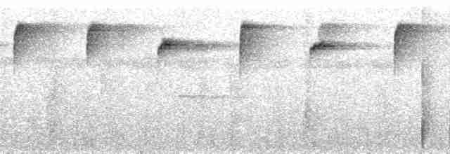 Ржавчатый колибри-отшельник - ML264495