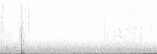 Perlita Grisilla - ML26455201