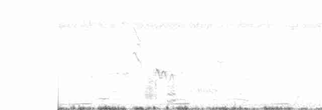 Striped Cuckoo - ML264616011