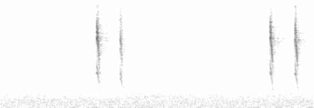 Troglodyte de Baird - ML264686351