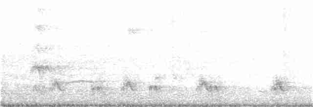 Kara Giysili Karıncakuşu - ML264715601