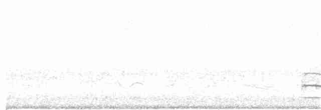 Horned Grebe - ML26473881