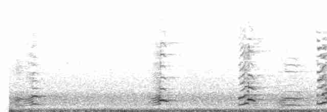 Cackling Goose (Aleutian) - ML264739571