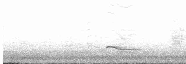Black-bellied Plover - ML264751711