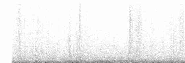 Синиця гострочуба - ML264812821